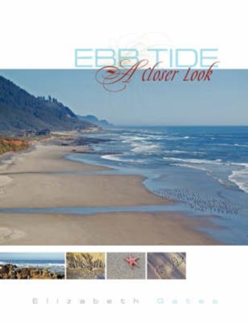 Ebb Tide a Closer Look, Paperback / softback Book
