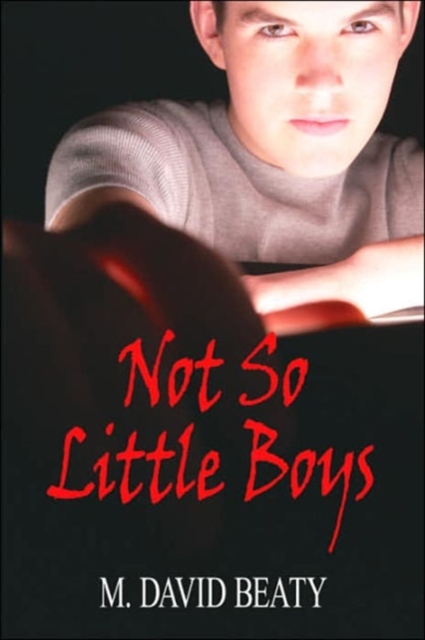 Not So Little Boys, Paperback / softback Book