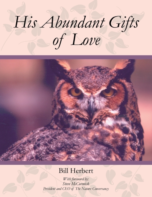 His Abundant Gifts of Love, Paperback / softback Book