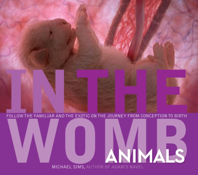 In the Womb: Animals, Hardback Book