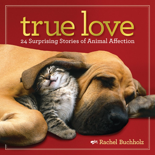 True Love : 24 Surprising Stories of Animal Affection, Hardback Book