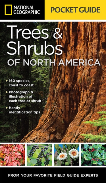 National Geographic Pocket Guide to Trees and Shrubs of North America, Paperback / softback Book
