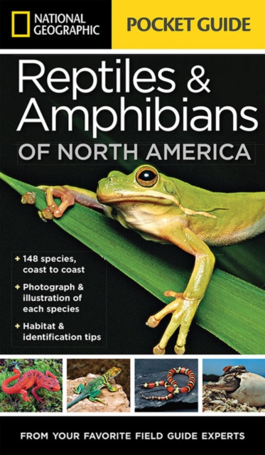 National Geographic Pocket Guide to Reptiles and Amphibians of North America, Paperback / softback Book