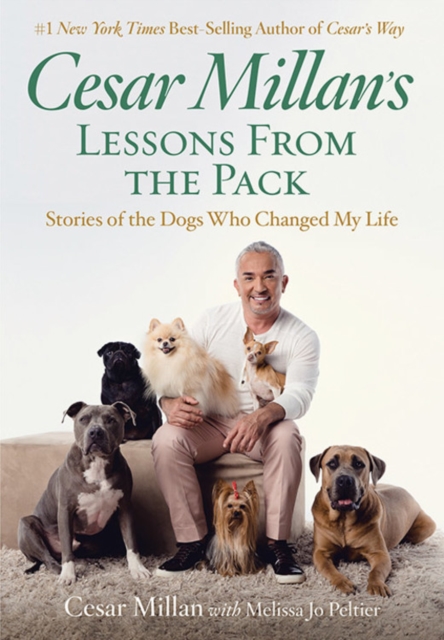 Cesar Millan's Lessons From the Pack, Hardback Book