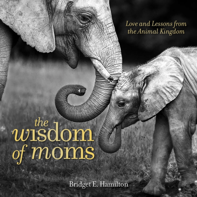The Wisdom of Moms, Hardback Book