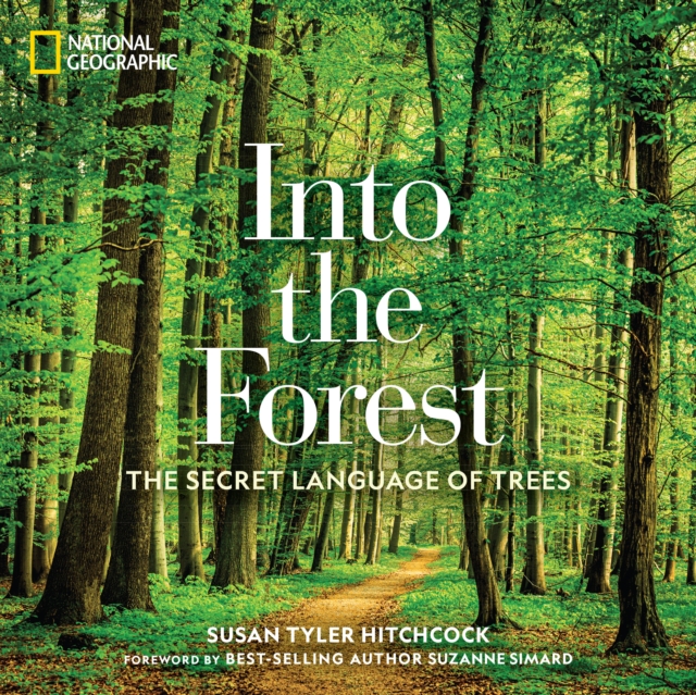 Into the Forest : The Secret Language of Trees, Hardback Book