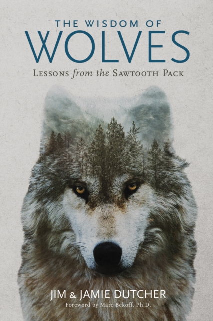The Wisdom of Wolves : Lessons From the Sawtooth Pack, Paperback / softback Book