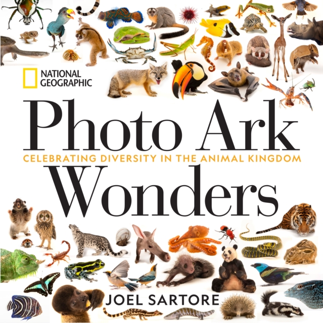 Photo Ark Wonders : Celebrating Diversity in the Animal Kingdom, Hardback Book
