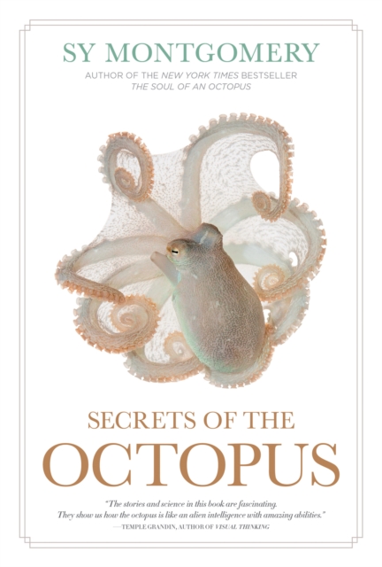 Secrets of the Octopus, Hardback Book