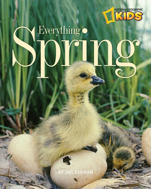 Everything Spring, Paperback / softback Book