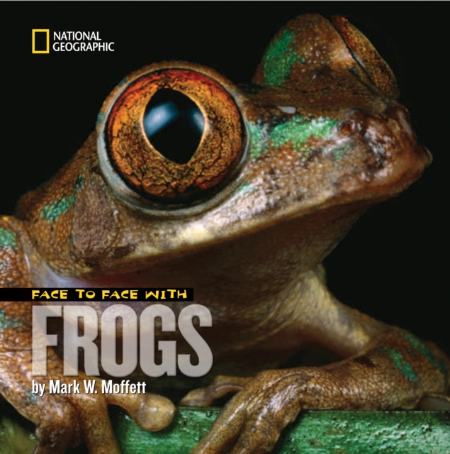 Face to Face with Frogs, Paperback / softback Book