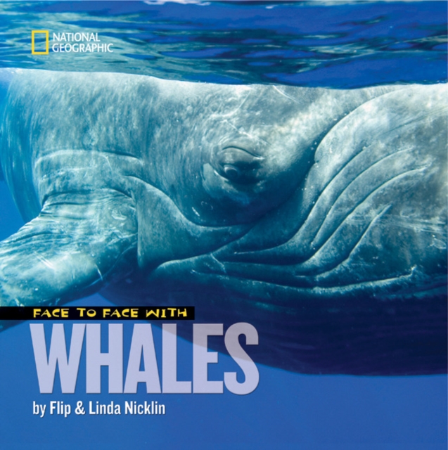 Face to Face with Whales, Paperback / softback Book