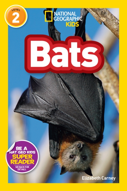 National Geographic Kids Readers: Bats, Paperback / softback Book