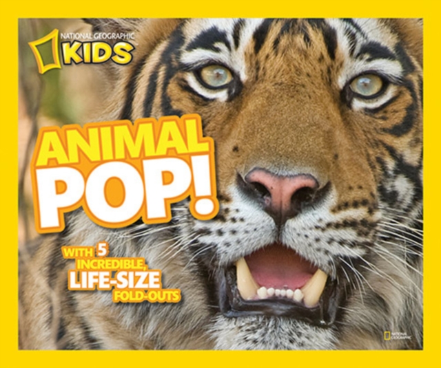 Animal Pop! : With 5 Incredible, Life Size Fold-Outs, Hardback Book