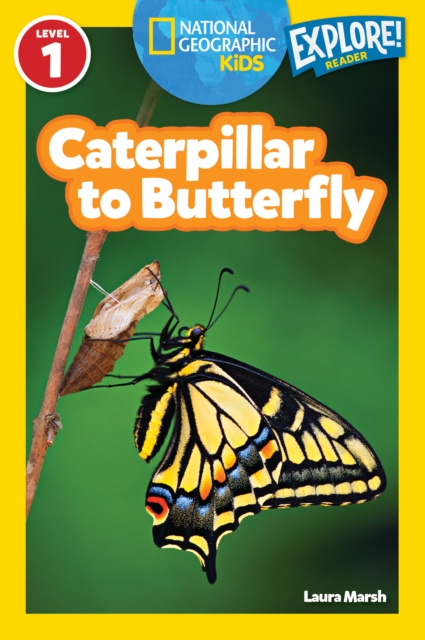 National Geographic Kids Readers: Caterpillar to Butterfly, Paperback / softback Book