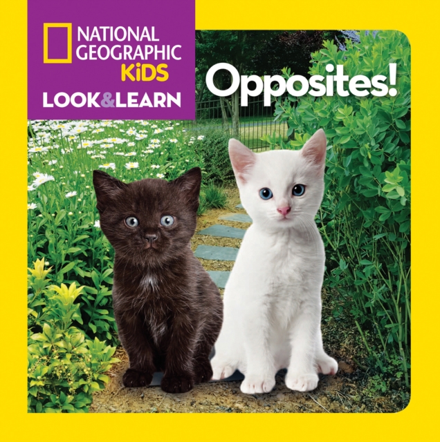 Look and Learn: Opposites!, Board book Book