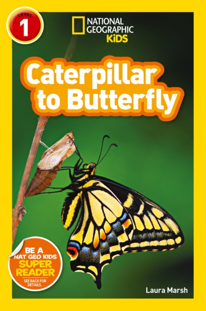National Geographic Kids Readers: Caterpillar to Butterfly, Paperback / softback Book