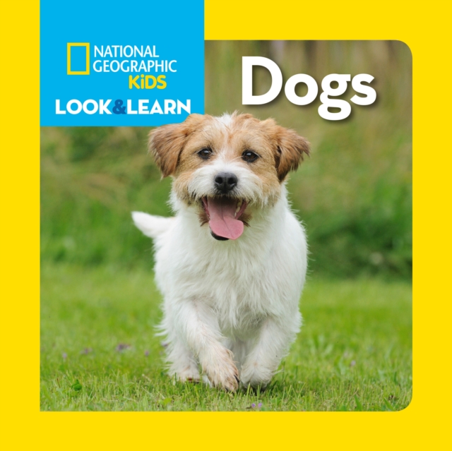 Look and Learn: Dogs, Board book Book