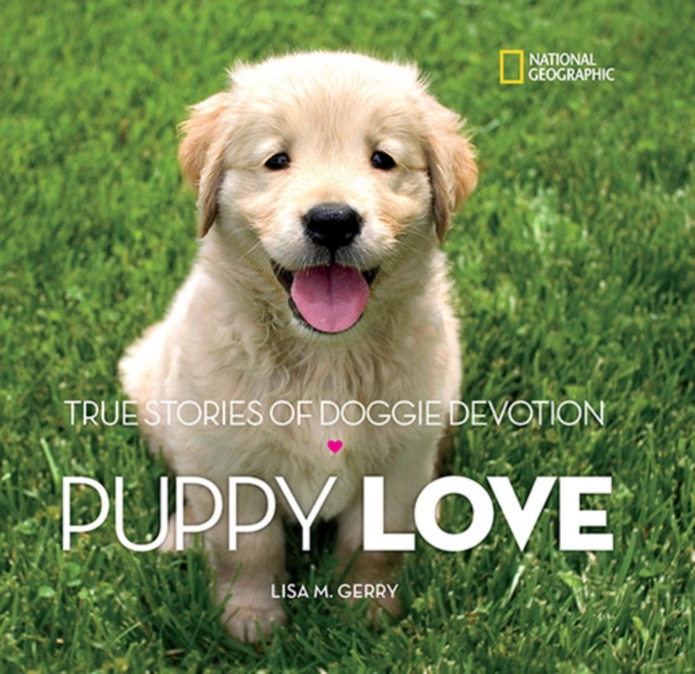 Puppy Love : True Stories of Doggie Devotion, Hardback Book