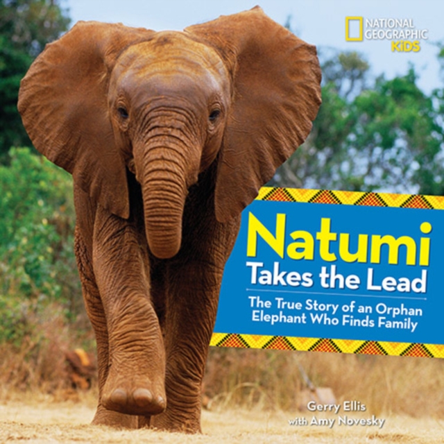 Natumi Takes the Lead : The True Story of an Orphan Elephant Who Finds Family, Hardback Book