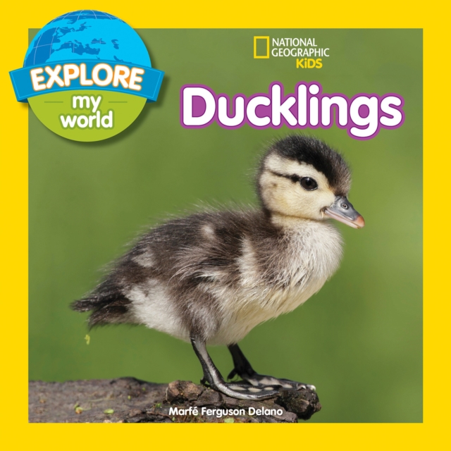 Explore My World: Ducklings, Paperback / softback Book