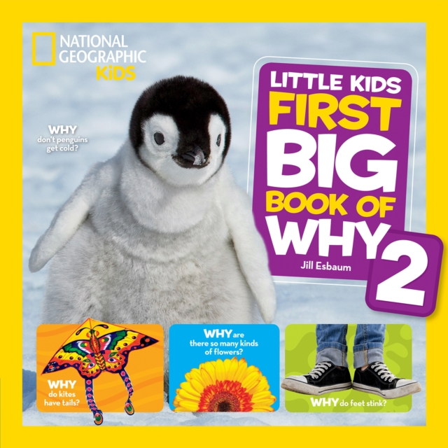 Little Kids First Big Book of Why 2, Paperback / softback Book