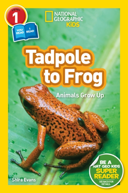 National Geographic Kids Readers: Tadpole to Frog (L1/Co-reader), Paperback / softback Book