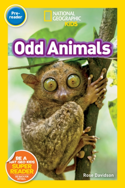 Odd Animals (Pre-Reader), Paperback / softback Book