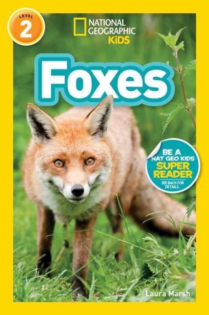 Foxes (L2), Paperback / softback Book