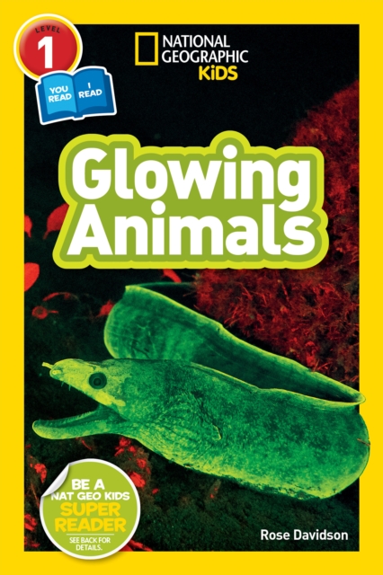 Glowing Animals (L1/Co-Reader), Paperback / softback Book