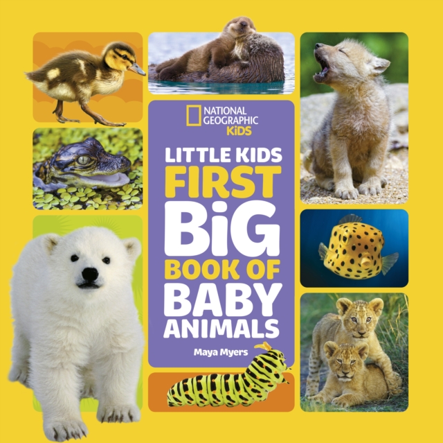 Little Kids First Big Book of Baby Animals, Hardback Book