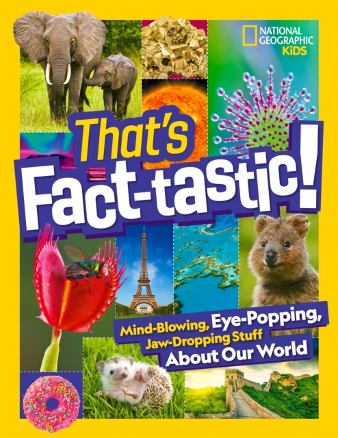 That’s Fact-Tastic!, Hardback Book