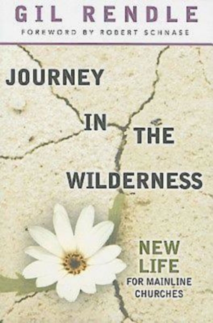 Journey in the Wilderness : New Life for Mainline Churches, EPUB eBook