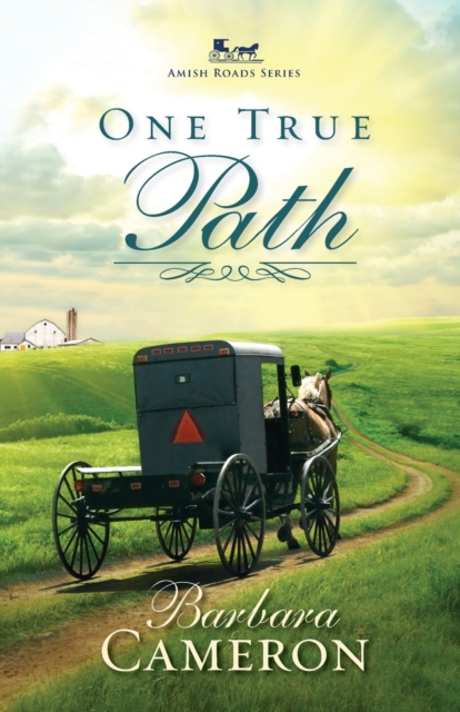 One True Path, Paperback / softback Book