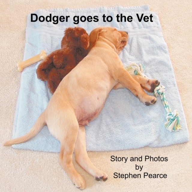 Dodger Goes to the Vet, Paperback / softback Book