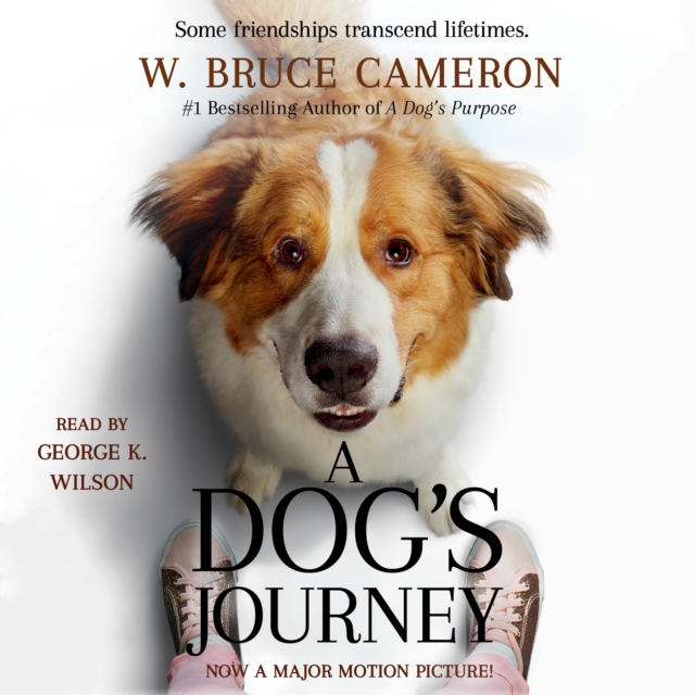 A Dog's Journey : A Novel, eAudiobook MP3 eaudioBook