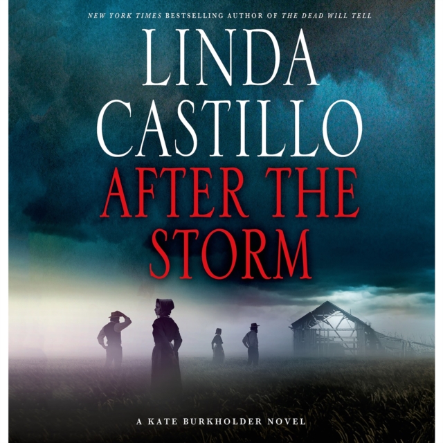 After the Storm : A Kate Burkholder Novel, eAudiobook MP3 eaudioBook