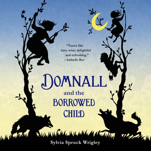 Domnall and the Borrowed Child, eAudiobook MP3 eaudioBook