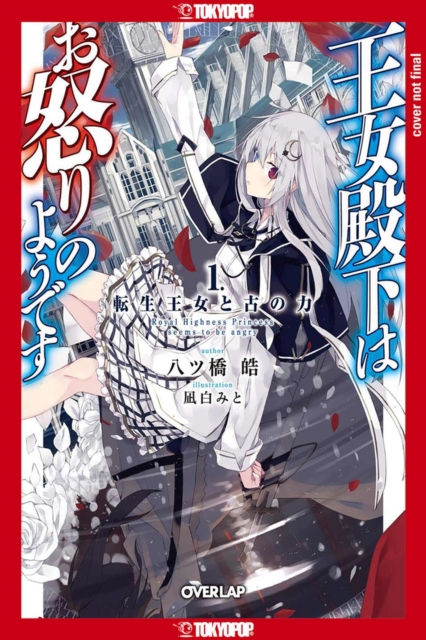 Her Royal Highness Seems to Be Angry, Volume 1 (Light Novel), Paperback / softback Book