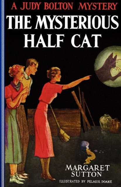 Mysterious Half Cat #9, Paperback / softback Book
