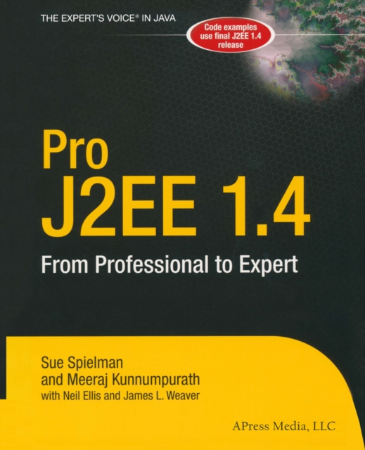 Pro J2EE 1.4: From Professional to Expert, PDF eBook