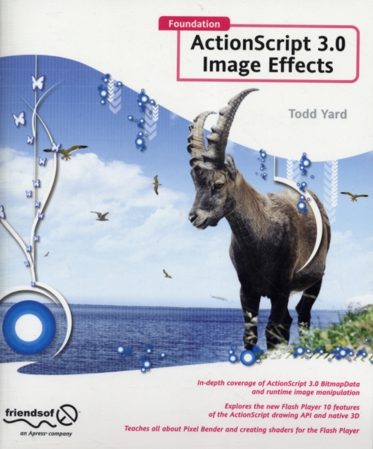 Foundation ActionScript 3.0 Image Effects, Paperback / softback Book