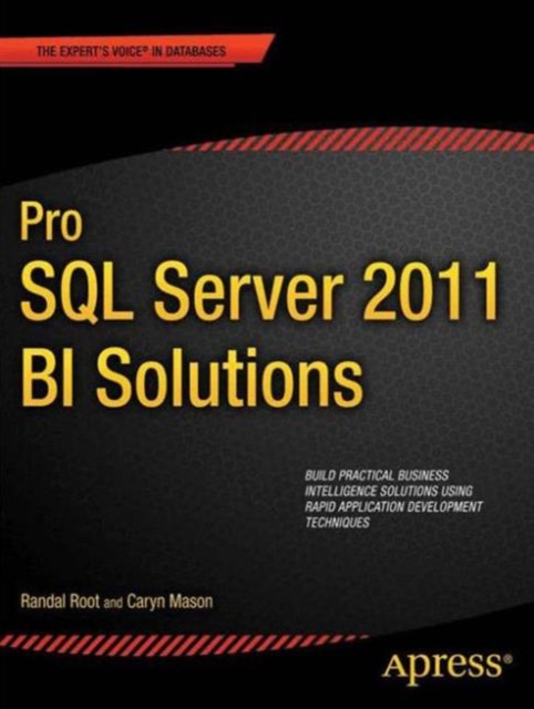 Pro SQL Server 2012 BI Solutions, Paperback / softback Book
