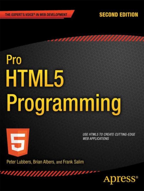 Pro HTML5 Programming : Powerful APIs for Richer Internet Application Development, PDF eBook