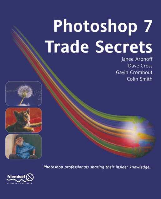 Photoshop 7 Trade Secrets, PDF eBook