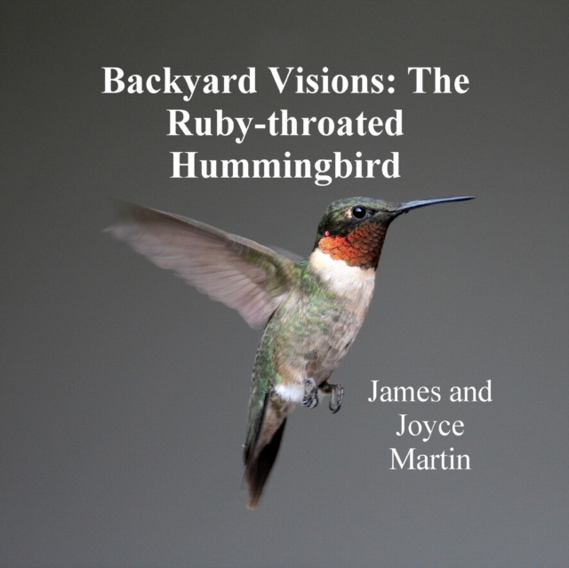Backyard Visions: The Ruby-throated Hummingbird, Paperback / softback Book