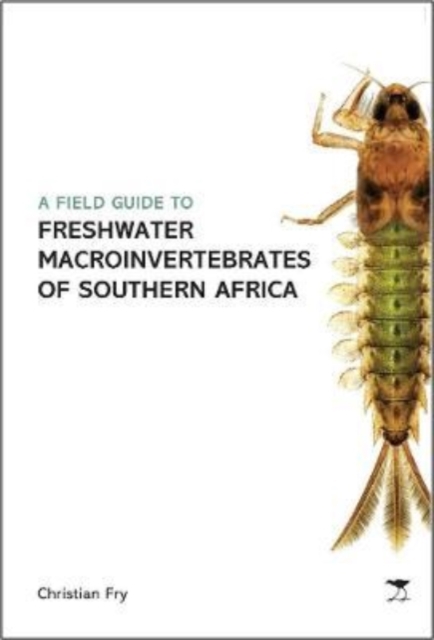 Field Guide to the Freshwater Macroinvertebrates of Southern Africa, Paperback / softback Book