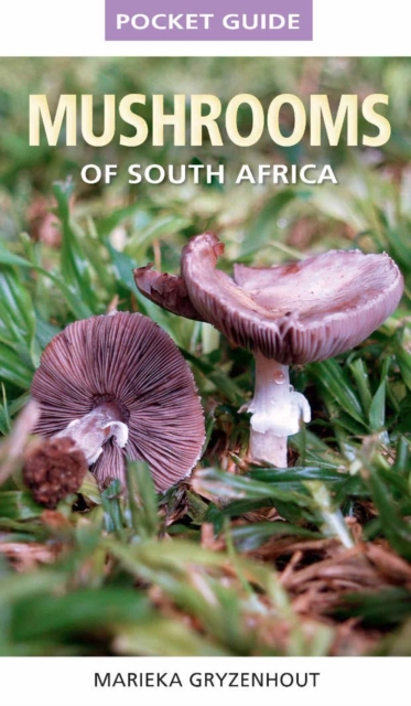 Pocket Guide to Mushrooms of South Africa, PDF eBook