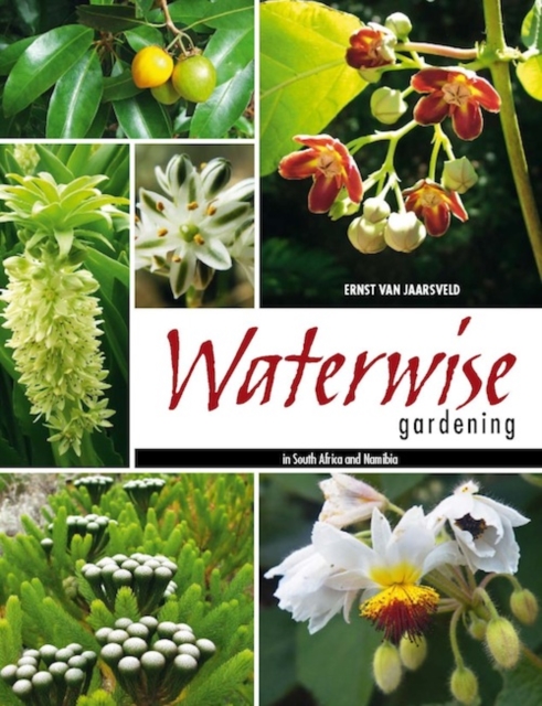 Waterwise Gardening in South Africa and Namibia, PDF eBook