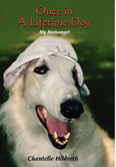 Once in a Lifetime Dog : My Borisangel, Hardback Book